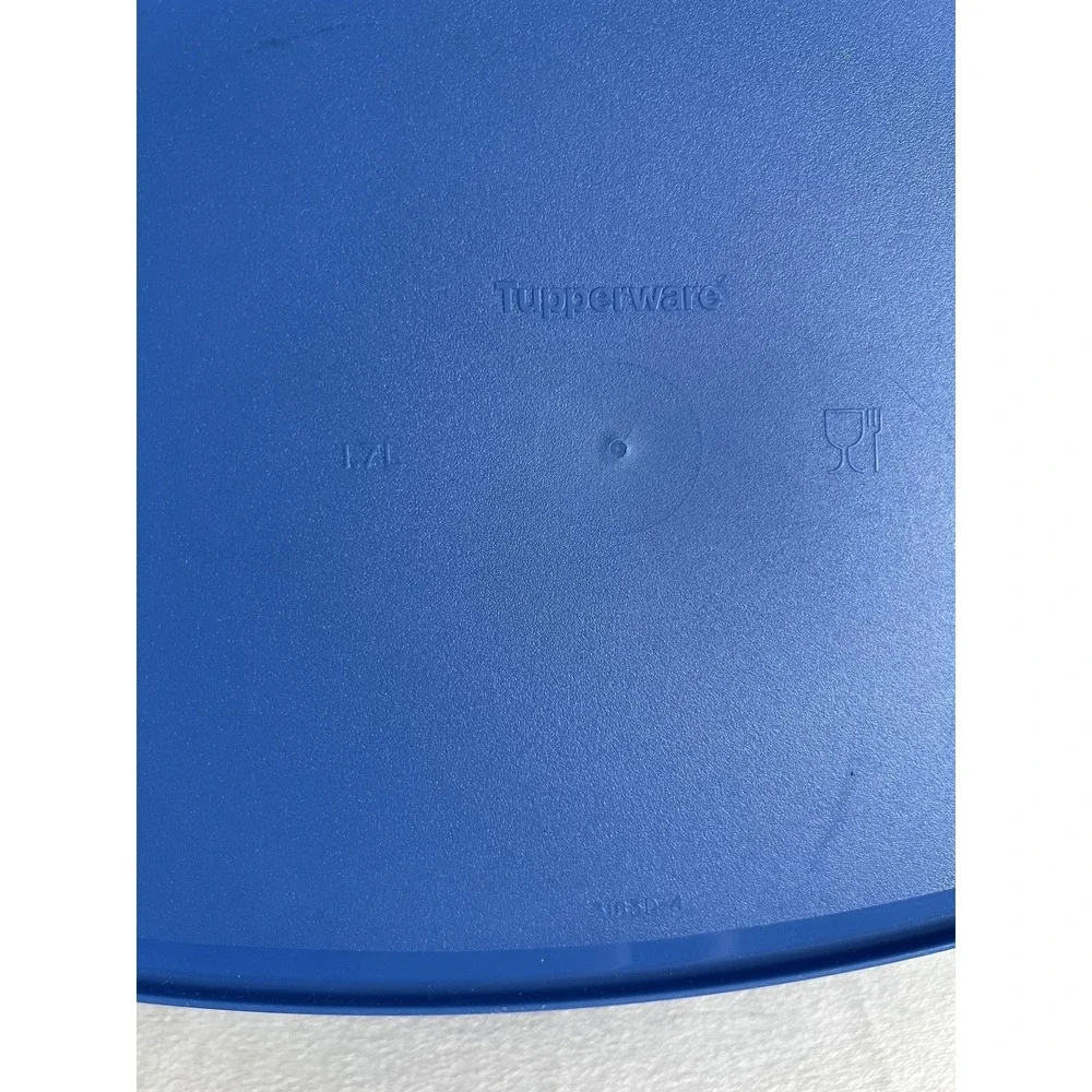Vintage Tupperware Legacy Microwave Oval Dish‎ Serving Container Blue Yellow